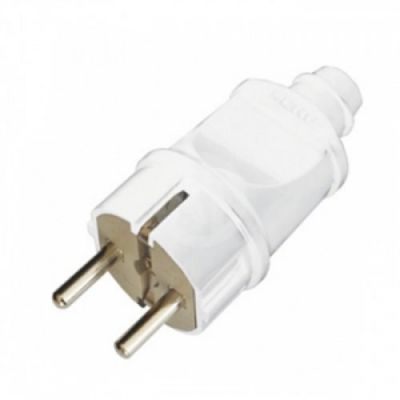 81